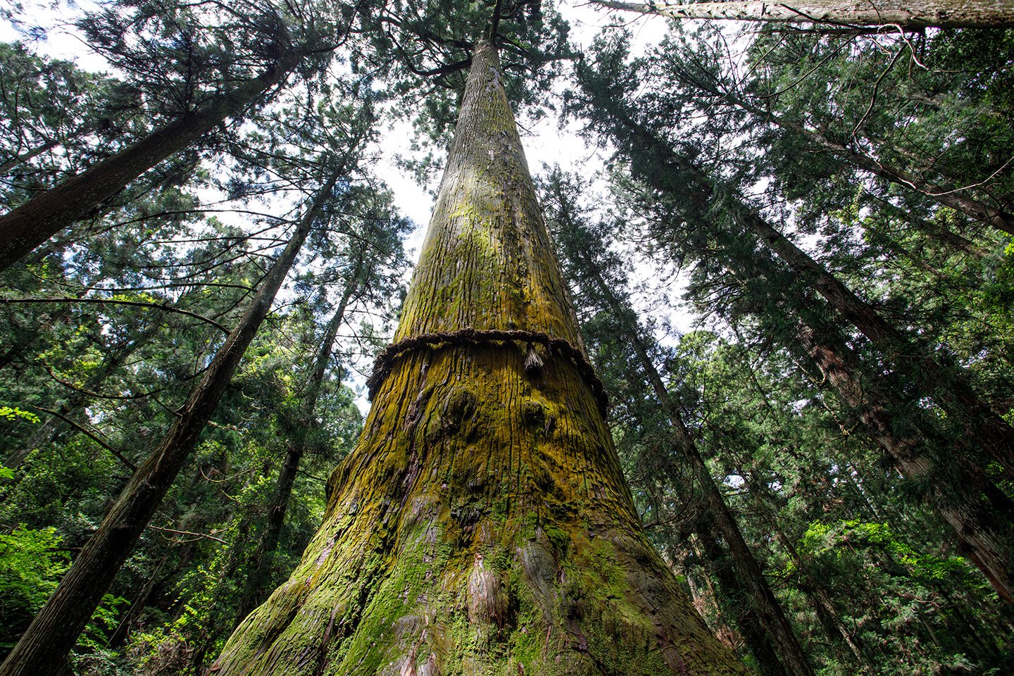 🏯 봉래사(호라이 사) 이미지 9